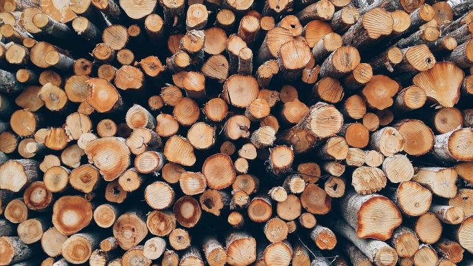 Brennholz kostenlos erhalten