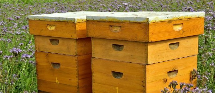 Bienenstock ohne Bienenstockheizung